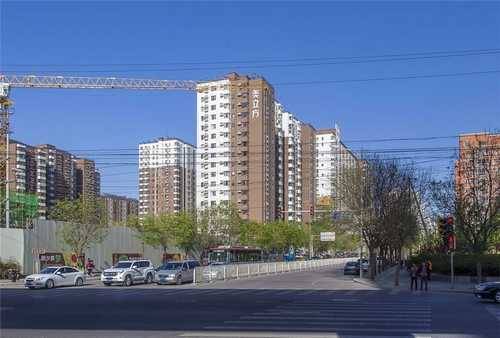 有机周边游植保