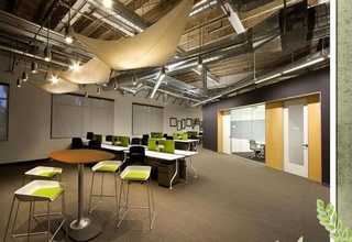 嘉定区酒店 盆栽菜基地批发